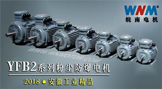 YFB2系列粉塵防爆型電機入選2018年安徽工業精品名單 YFB2系列粉塵防爆型電機入選2018年安徽工業精品名單