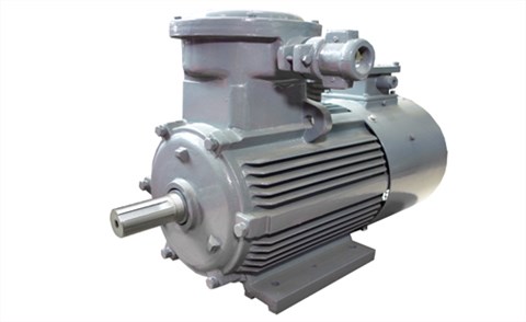 YBBP系列隔爆型變頻調(diào)速三相異步電動機