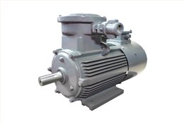 YBBP系列隔爆型變頻調(diào)速三相異步電動(dòng)機(jī)