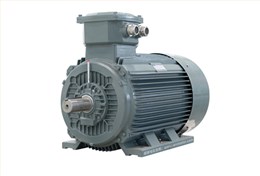 YBX3 系列高效率隔爆型(Ex dII CT4)三相電動(dòng)機(jī)