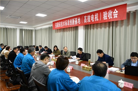 安徽省技術標準創新基地（高效電機）