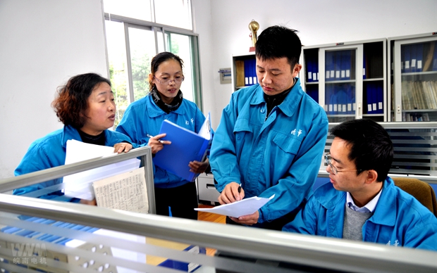 皖南電機內審人員在部門審核