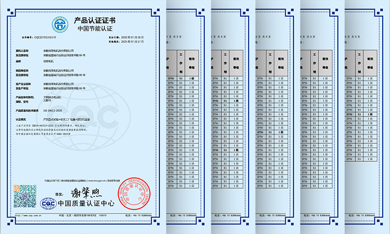 YE5電機(jī)1級(jí)能效證書 YE5電機(jī)1級(jí)能效證書