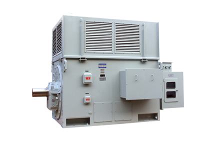 YR系列高壓三相異步電動機 YR系列高壓三相異步電動機